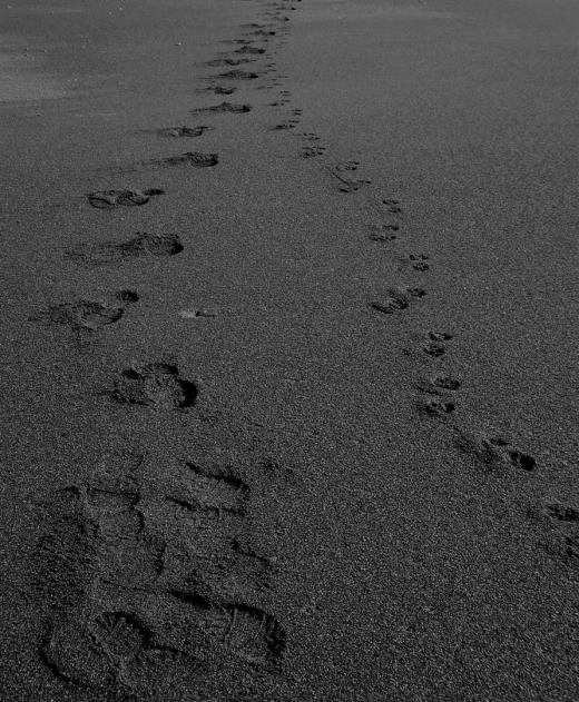 footprints_Baring Head