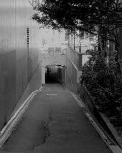 Kumutoto tunnel_approach